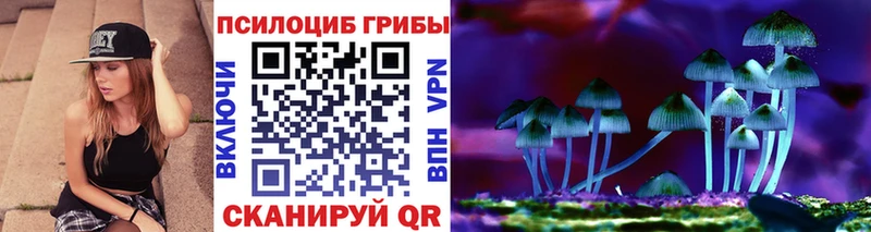 ОМГ ОМГ маркетплейс  маркетплейс состав  Галлюциногенные грибы Cubensis  магазин продажи наркотиков  Ленинск 