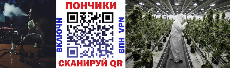 нарко площадка как зайти  Ленинск  Конопля марихуана 